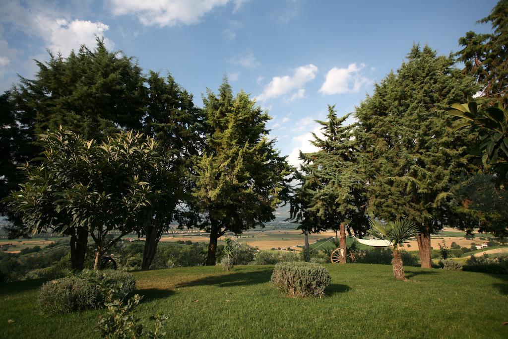 Agriturismo Il Girasole Montefalco Zimmer foto