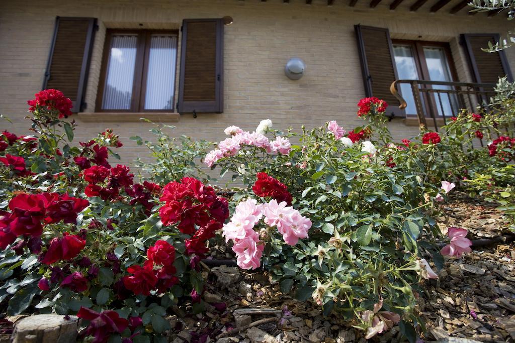 Agriturismo Il Girasole Montefalco Zimmer foto